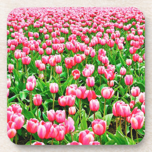 Dessous-de-verre Tulips