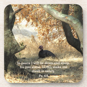 Dessous-de-verre Turkey Paradise Psalm Coasters