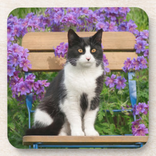 Dessous-de-verre Tuxedo cat sitting on a garchair with flowers