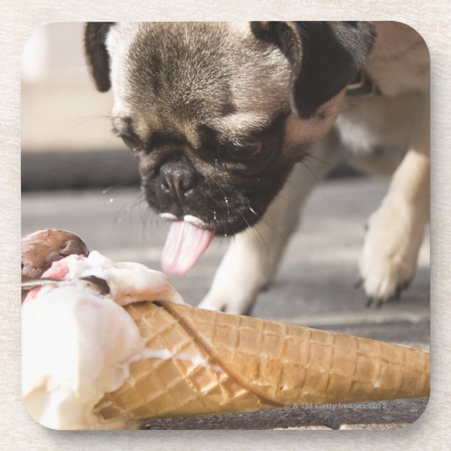 Dessous-de-verre Un chien mangeant une crème glacée d'un trottoir (Devant)