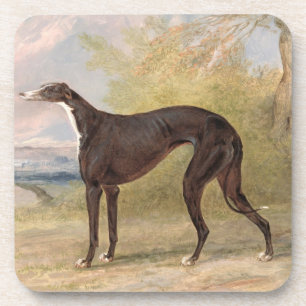 Dessous-de-verre Un des lévriers de gain du Fox de ruelle de Georg