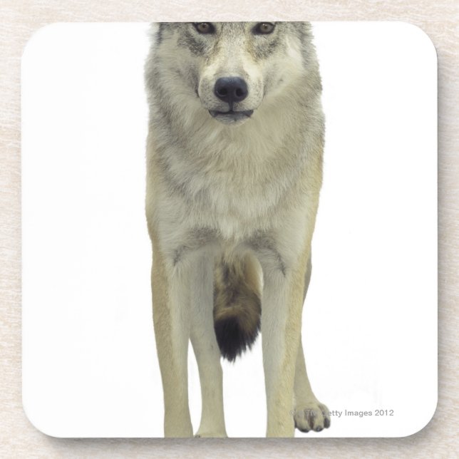 Dessous-de-verre Un loup (Devant)