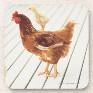 Dessous-de-verre Un poulet et deux poussins sur un plancher en