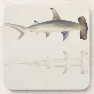 Dessous-de-verre Un requin Marteau-dirigé, Loheia, autrefois