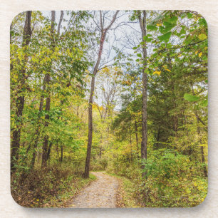 Dessous-de-verre Une promenade d'automne