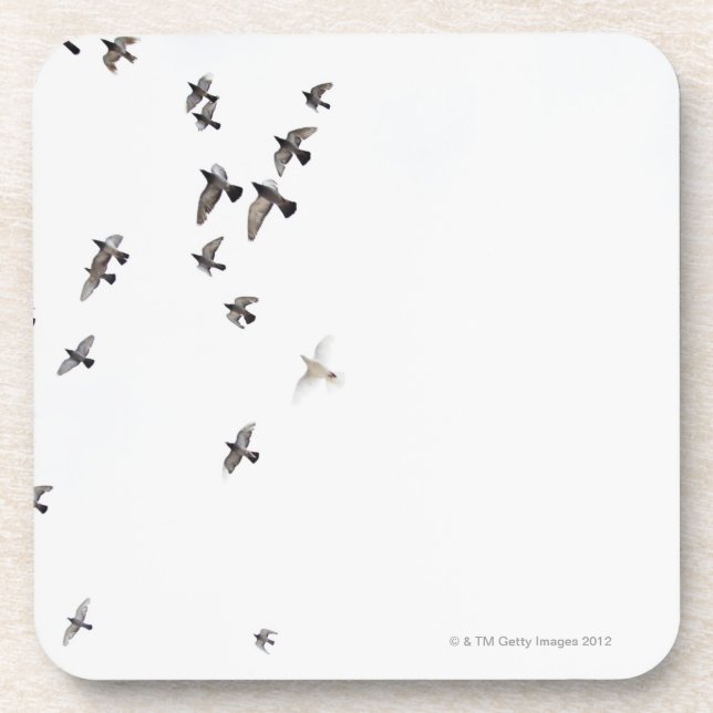 Dessous-de-verre Une volée des oiseaux vole au ciel (Devant)