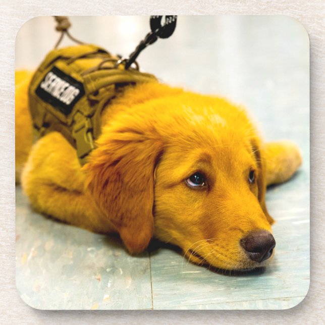 DESSOUS-DE-VERRE US MILITARY SERVICE DOG (Devant)