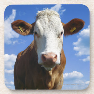 Dessous-de-verre Vache bavaroise contre le ciel bleu