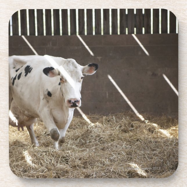Dessous-de-verre Vache laitière (Devant)