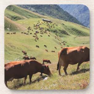 Dessous-de-verre vaches en vallée de Tarentaise - course de Tarine