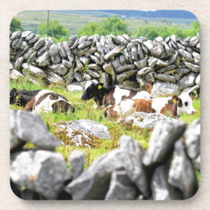 Dessous-de-verre Vaches Moo