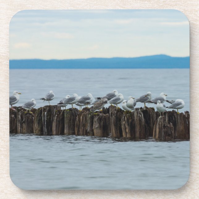 Dessous-de-verre Ventilation de moules (Devant)