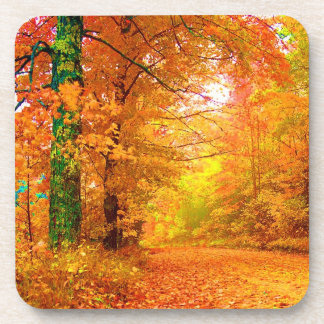 Dessous-de-verre Vermont Autumn Nature Paysage