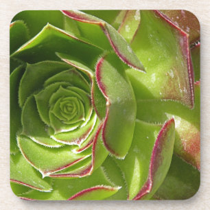 Dessous-de-verre Vert