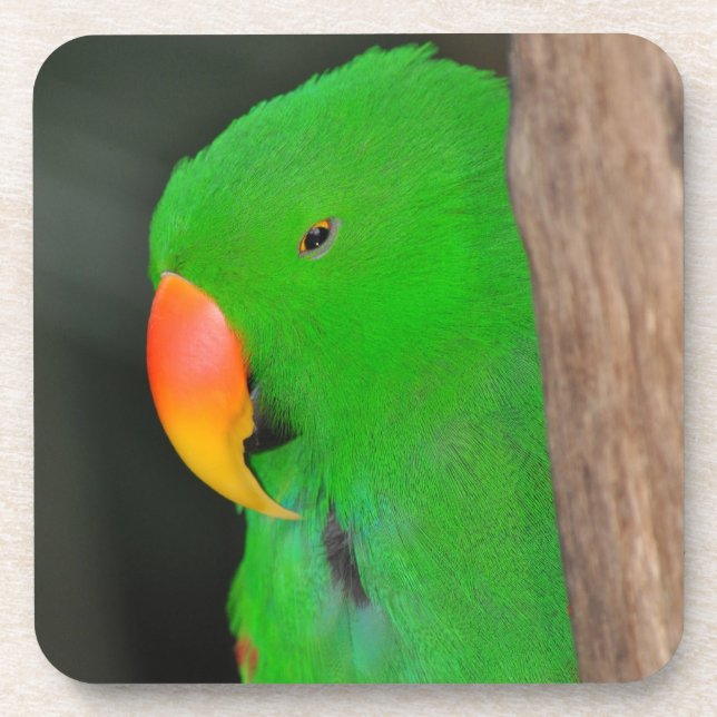 Dessous de verre vert éclectique de perroquets (Devant)