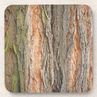 Dessous-de-verre vieux arbre