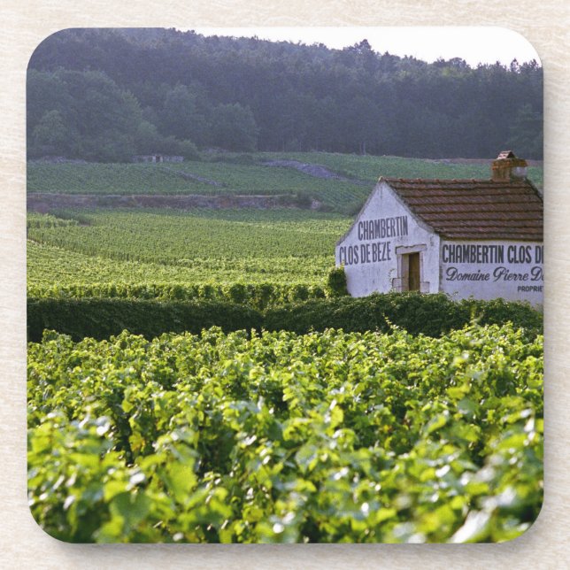 Dessous-de-verre vignoble Chambertin Clos de Beze Grand Cru avec (Devant)