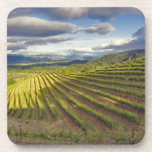 Dessous-de-verre Vignoble. Vallée de Napa. Napa. Comté de Napa,
