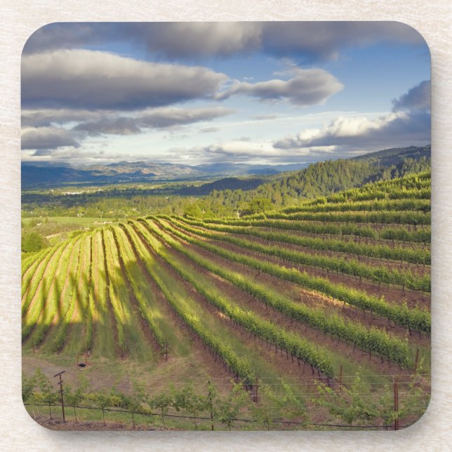 Dessous-de-verre Vignoble. Vallée de Napa. Napa. Comté de Napa, (Devant)