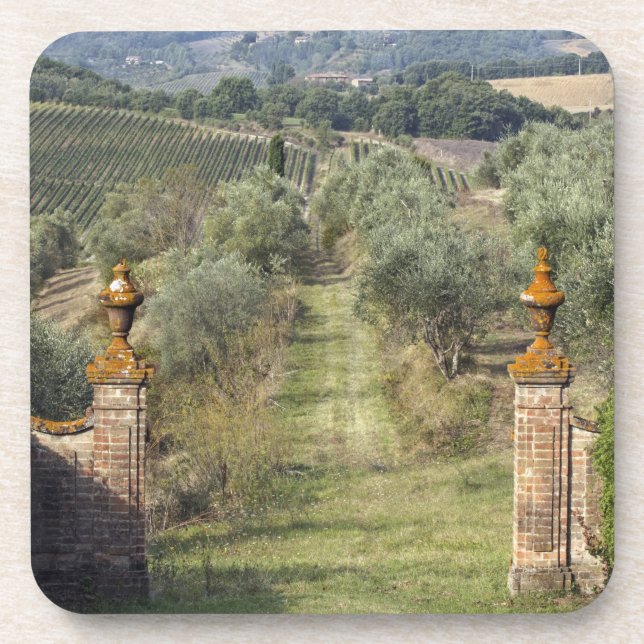 Dessous-de-verre Vignobles, Toscane, Italie (Devant)