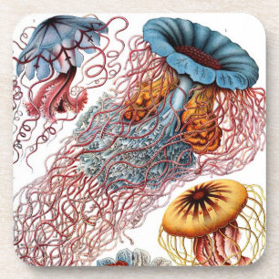 Dessous-de-verre Vintage Haeckel