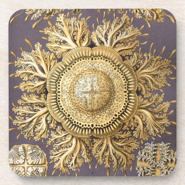 Dessous-de-verre Vintage Haeckel (Devant)