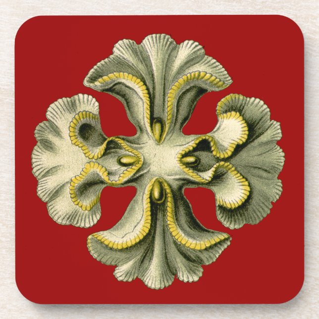 Dessous-de-verre Vintage Haeckel (Devant)