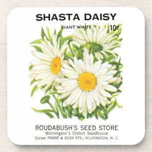 Dessous-de-verre Vintage Seed Packet Art, Shasta Daisy Flowers