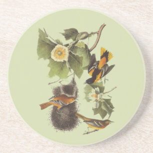 Dessous de verre vintages d'art d'oiseaux