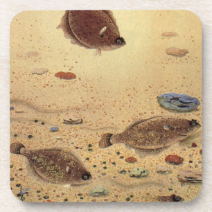 Dessous-de-verre Vintages, Marine Ocean Life Poisson plat