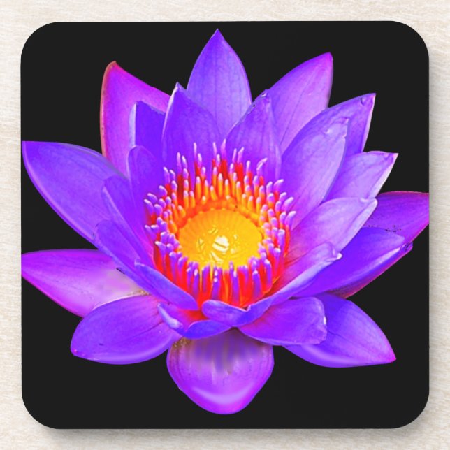 Dessous-de-verre Violet Lotus Flower sur noir (Devant)