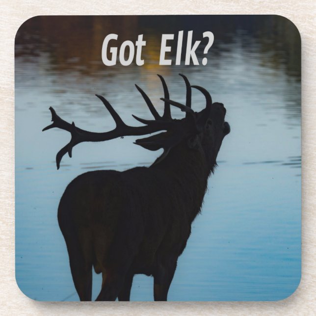 Dessous-de-verre Vous avez Elk ? Funny Hunter Humour (Devant)