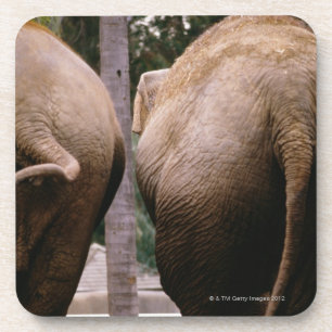 Dessous-de-verre Vue arrière des éléphants asiatiques