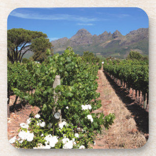 Dessous-de-verre Vue des vignobles. Stellenbosch