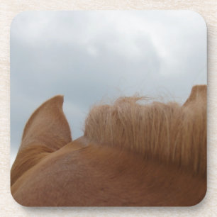 Dessous-de-verre Vue d'un cheval, oreilles et cou du cheval