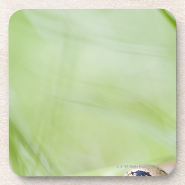 Dessous-de-verre Washington, Etats-Unis (Devant)