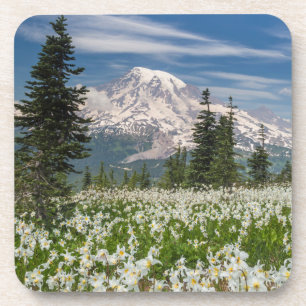 Dessous-de-verre Washington, Parc national du mont Rainier 1