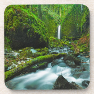 Dessous-de-verre Waterfalls Grotto Falls, Oregon