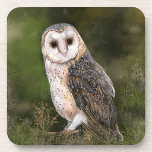 Dessous-de-verre Western Barn Owl - Migned Watercolor Painting Art 