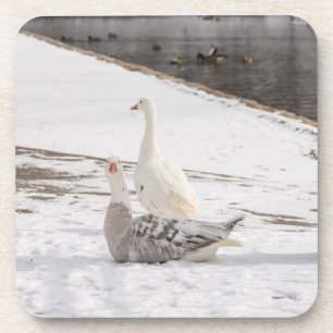 Dessous-de-verre Whats Up Goose