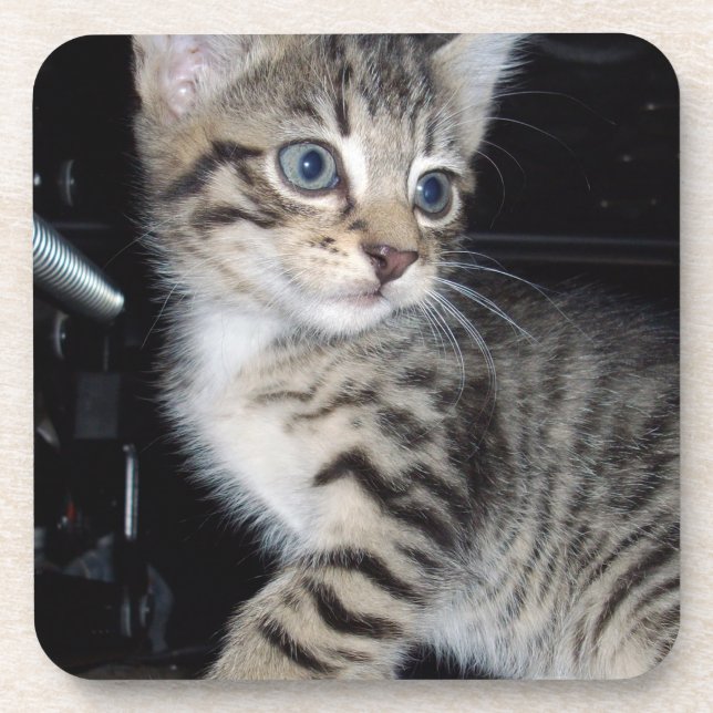 Dessous-de-verre "Whiskers of Trouble : The Mischievous Tabby Kitte (Devant)