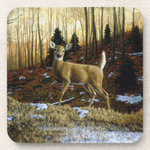 Dessous-de-verre Whitetail Deer Doe dans la forêt d'automne