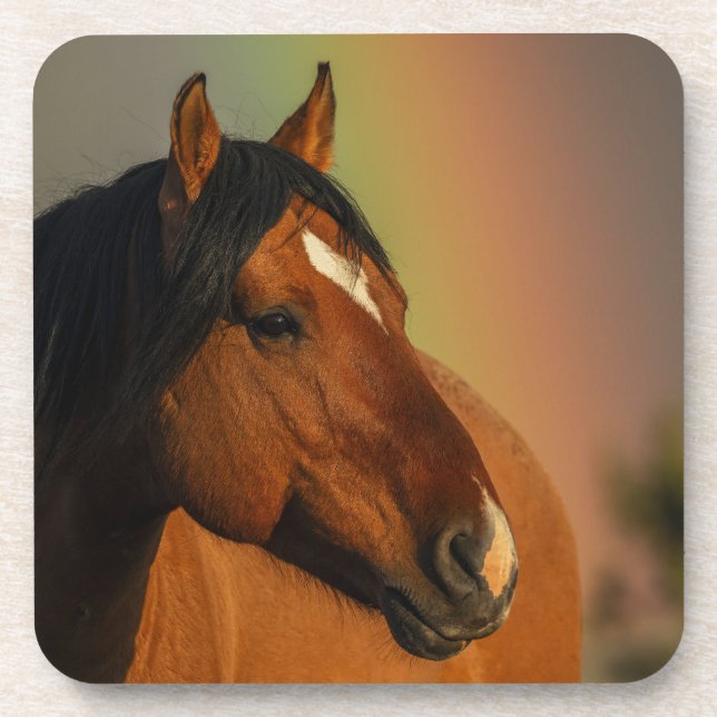 Dessous-de-verre Wild Stallion, Golden Light and Rainbow (Devant)