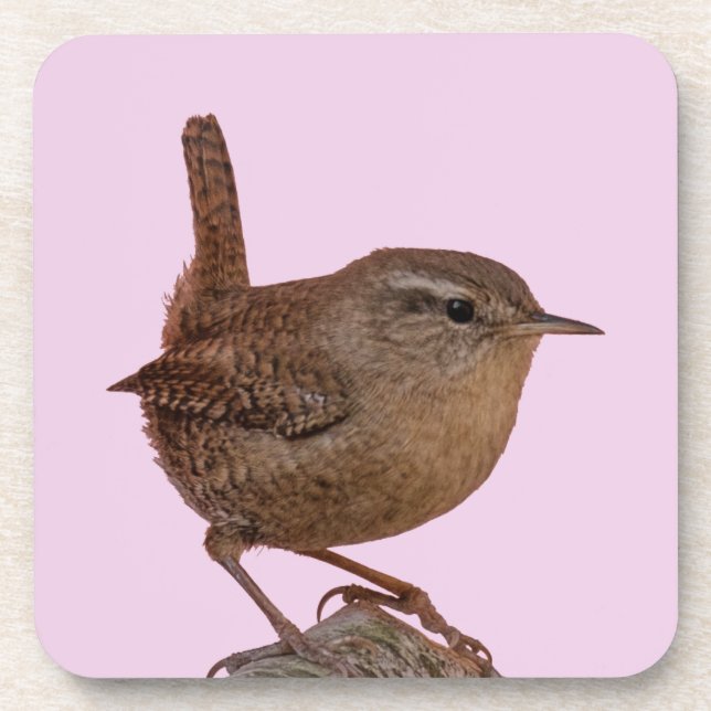 Dessous-de-verre Wren (Devant)