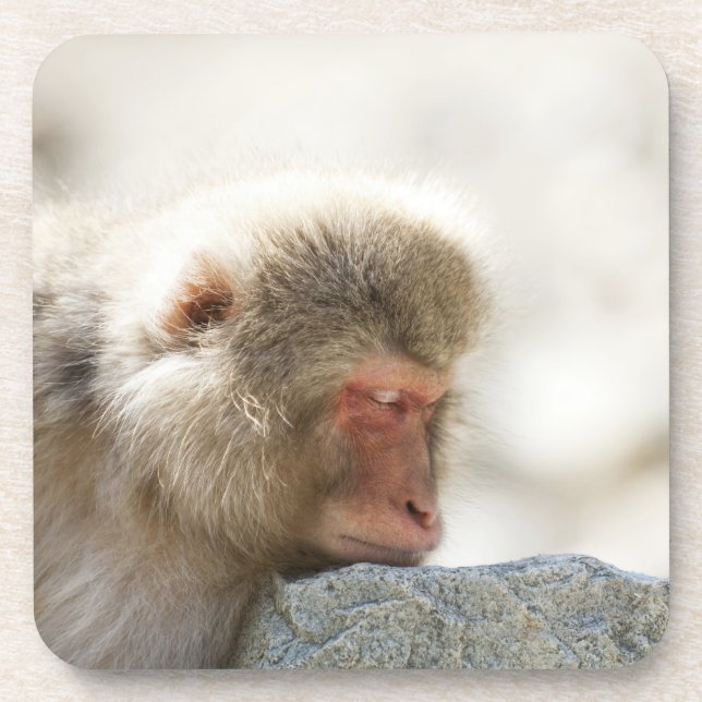 Dessous-de-verre Yamanouchi, Chubu, préfecture de Nagano, Japon (Devant)