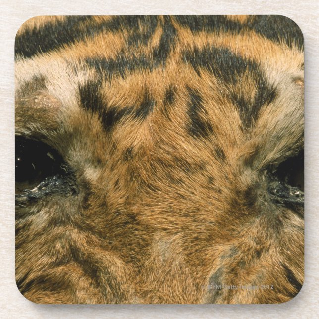 Dessous-de-verre Yeux de tigre (Devant)