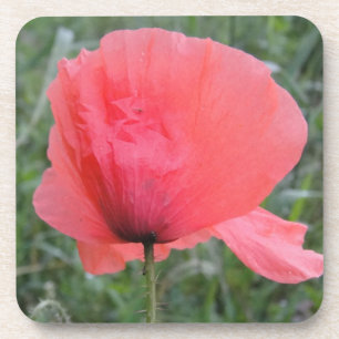 Dessous-de-verre Zarte a écrit Mohnblume