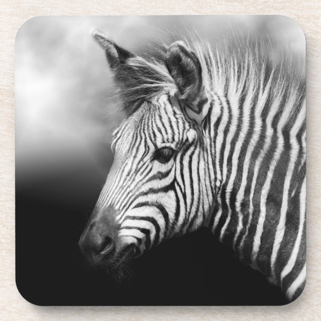 Dessous-de-verre Zebra Foal (Devant)