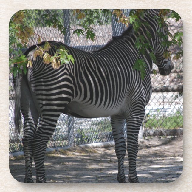 Dessous-de-verre Zebra Love (Devant)
