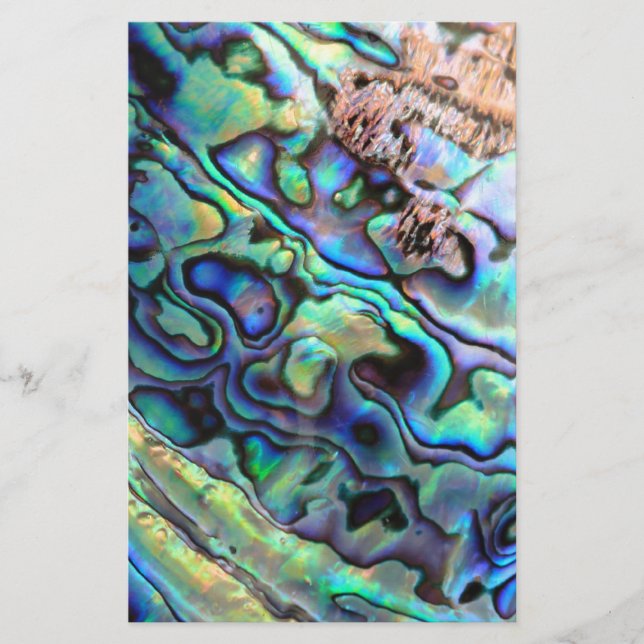 Détail de la coquille de Paua (Devant)